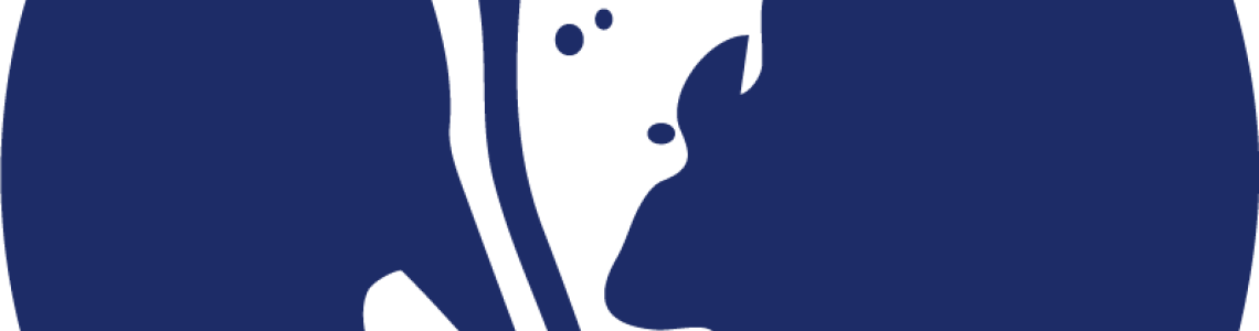 特價品、福利品